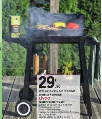 Barbecue à charbon