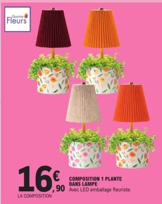 COMPOSITION 1 PLANTE DANS LAMPE