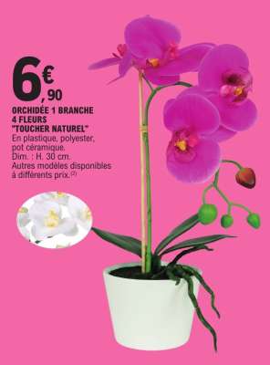 ORCHIDÉE 1 BRANCHE 4 FLEURS "TOUCHER NATUREL"