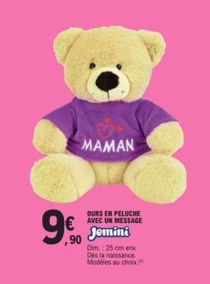 OURS EN PELUCHE AVEC UN MESSAGE