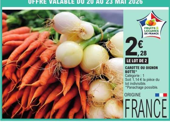 CAROTTE OU OIGNON BOTTE