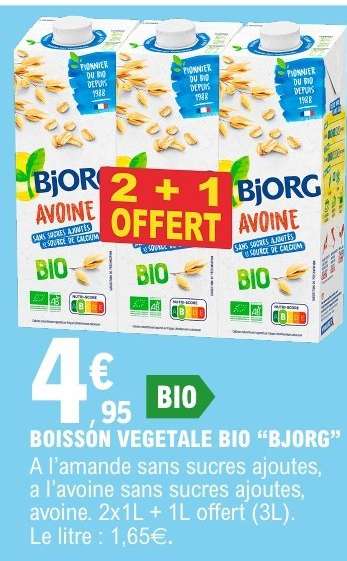 BOISSON VÉGÉTALE BIO “BJORG”