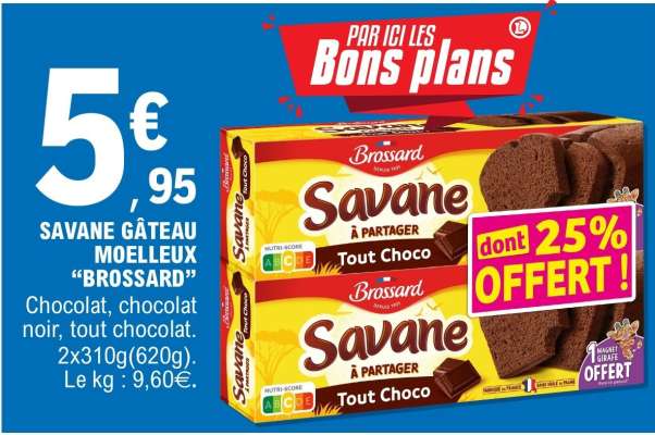 SAVANE GÂTEAU MOELLEUX "BROSSARD"