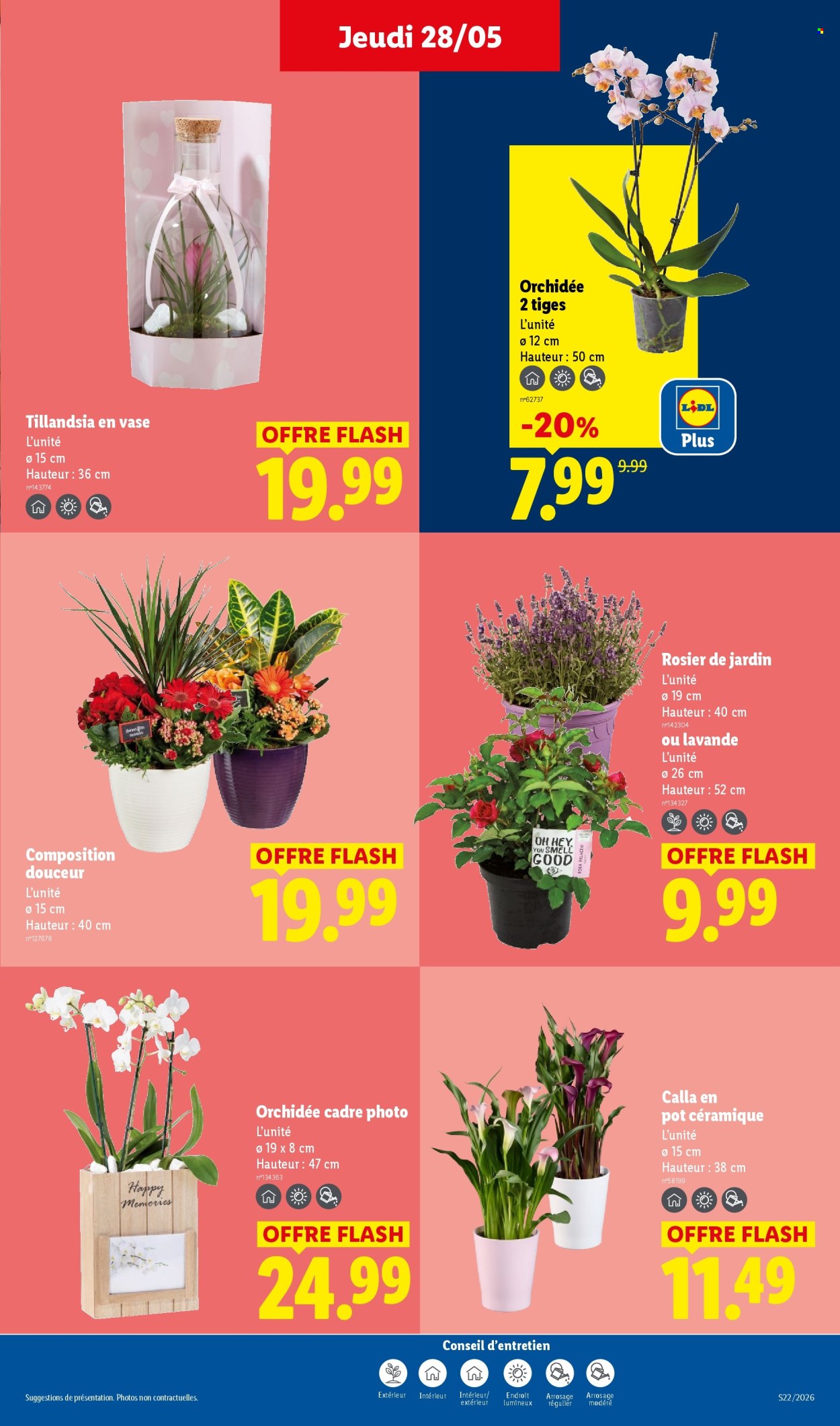 Catalogue Lidl - 28/05/2026 - 03/06/2026. Page 27
