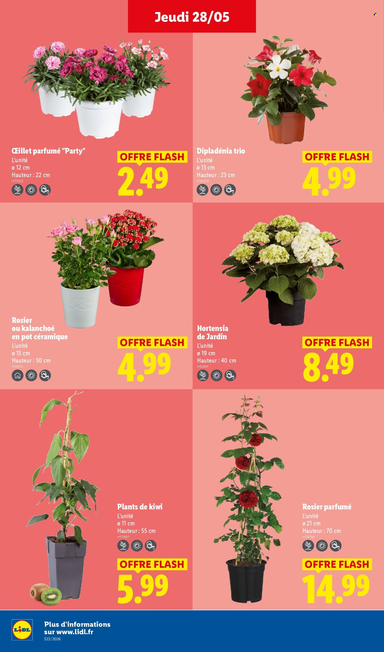 Catalogue Lidl - 28/05/2026 - 03/06/2026. Page 28