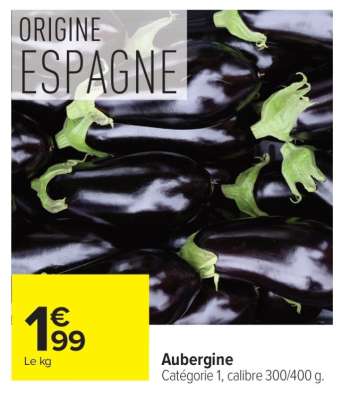 AUBERGINE