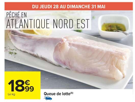 QUEUE DE LOTTE