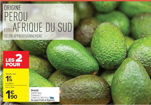 Avocat