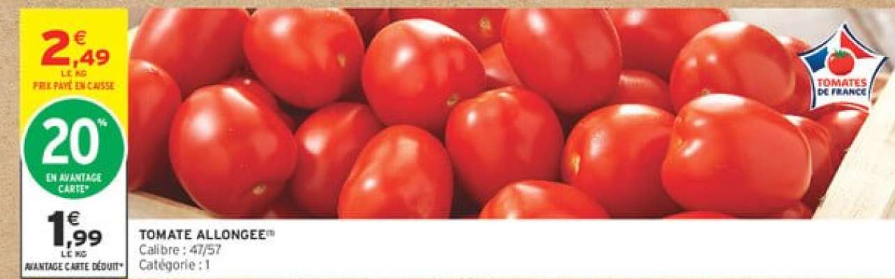 TOMATE ALLONGÉE