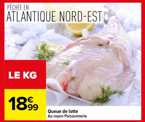 QUEUE DE LOTTE