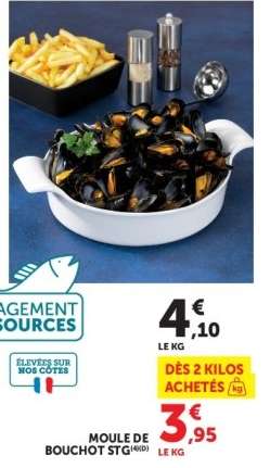 Moule de Bouchot STG