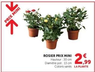 ROSIER PRIX MINI