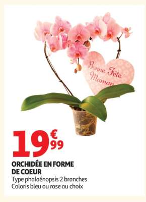 ORCHIDÉE EN FORME DE COEUR