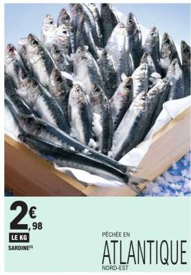 SARDINE