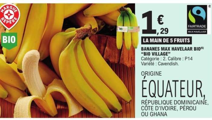 BANANES MAX HAVELAAR BIO "BIO VILLAGE"