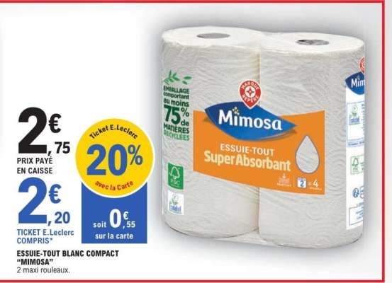 ESSUIE-TOUT BLANC COMPACT “MIMOSA”