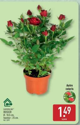 GARDENLINE® ROSIER