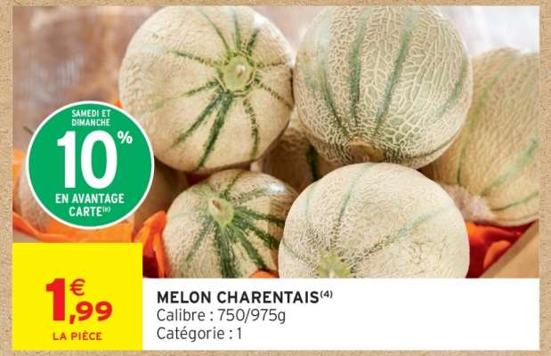 MELON CHARENTAIS