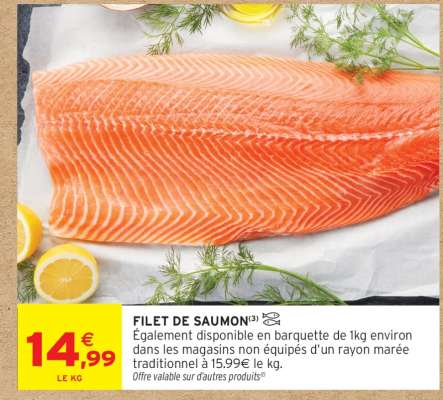 FILET DE SAUMON