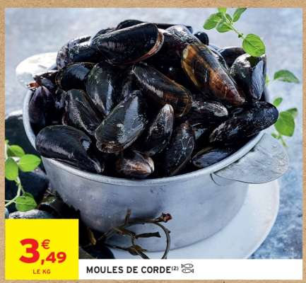 Moules De Corde