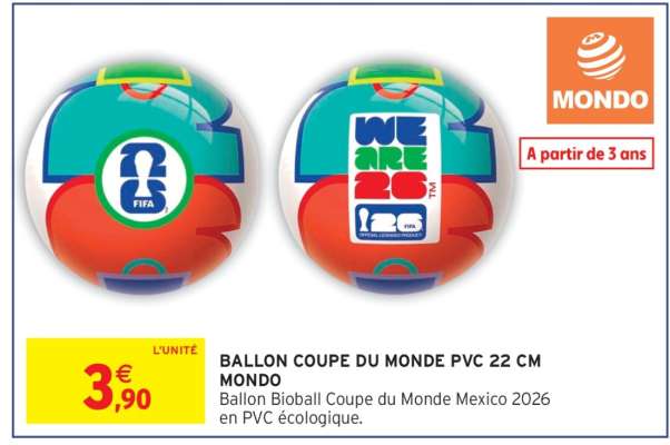 BALLON COUPE DU MONDE PVC 22 CM MONDO