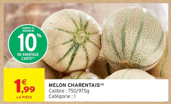 MELON CHARENTAIS