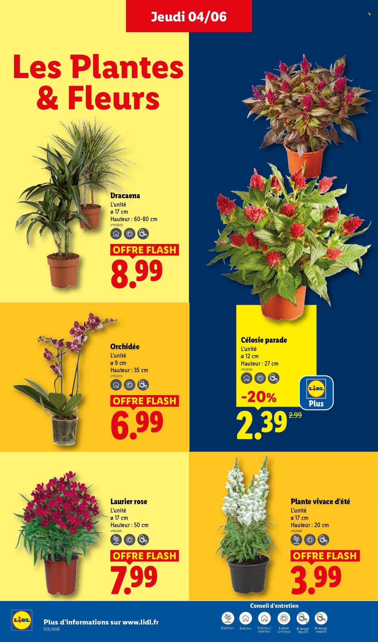 Catalogue Lidl - 04/06/2026 - 10/06/2026. Page 26