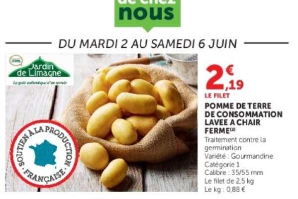 POMME DE TERRE DE CONSOMMATION LAVEE A CHAIR FERME
