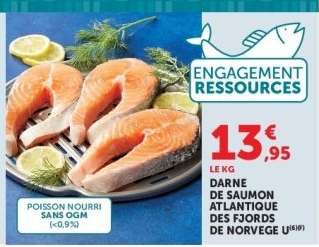 Darne de Saumon Atlantique des Fjords de Norvège