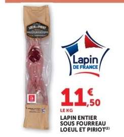 LAPIN ENTIER SOUS FOURREAU "LOEUL ET PIRIOT"