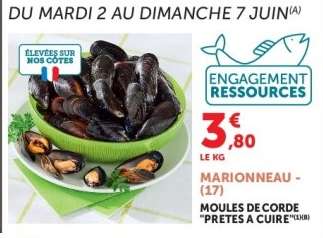 Moules de corde prêtes à cuire