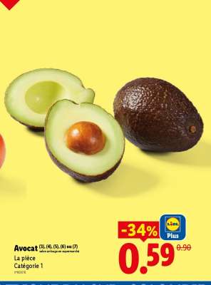 Avocat