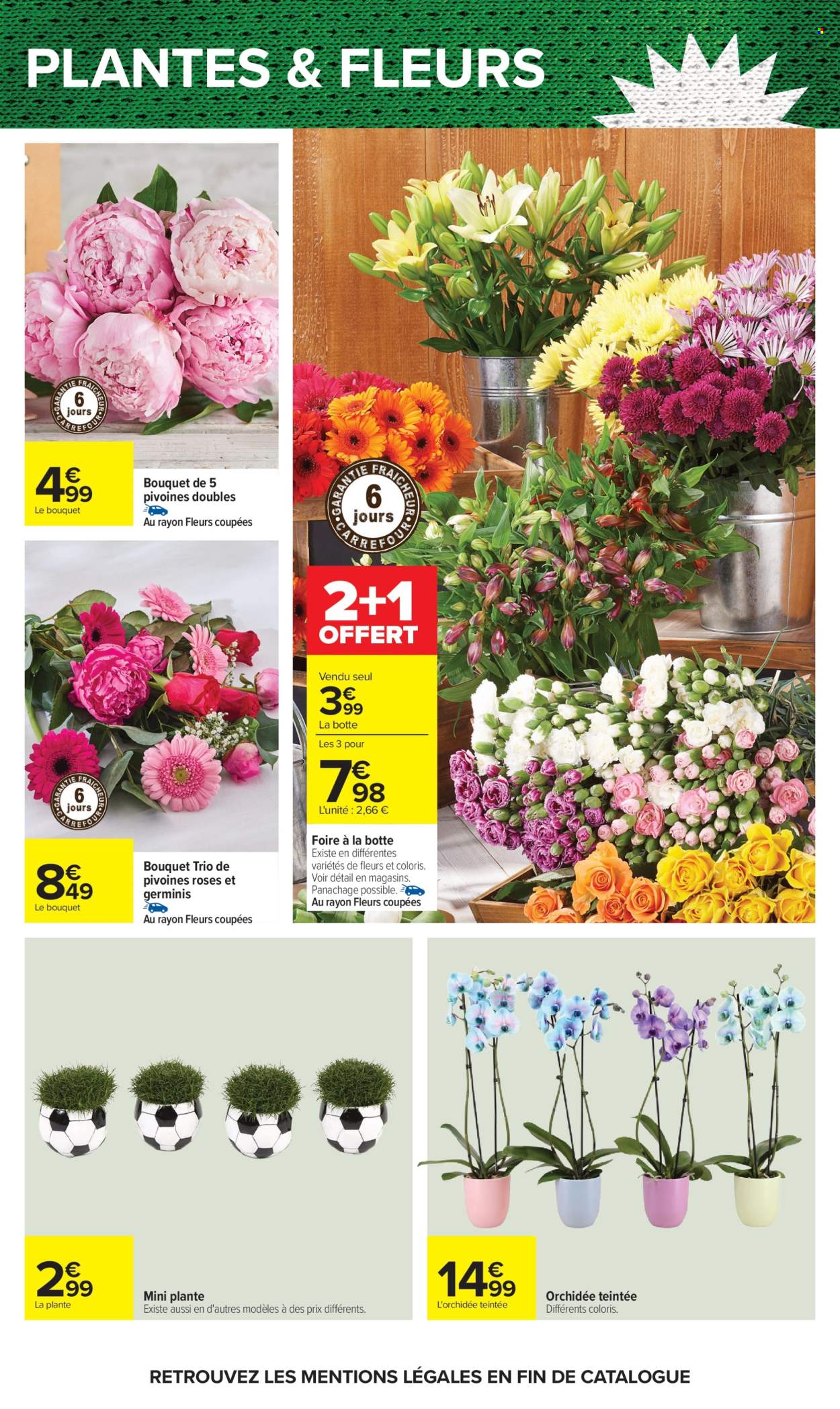 Catalogue Carrefour Hypermarchés - 02/06/2026 - 15/06/2026. Page 73