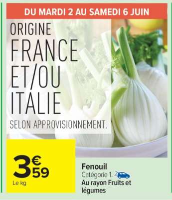 FENOUIL