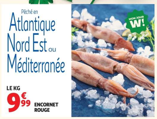 ENCORNET ROUGE