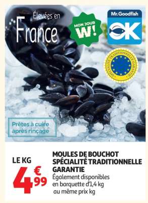 MOULES DE BOUCHOT
