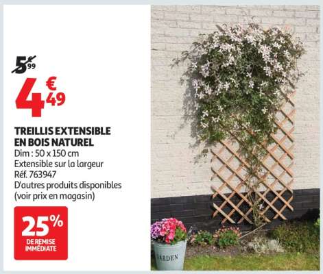 TREILLIS EXTENSIBLE EN BOIS NATUREL