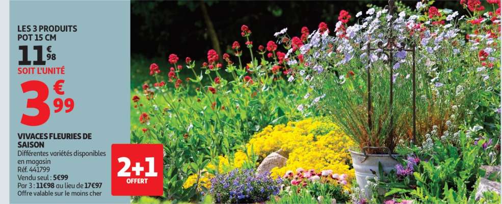 VIVACES FLEURIES DE SAISON