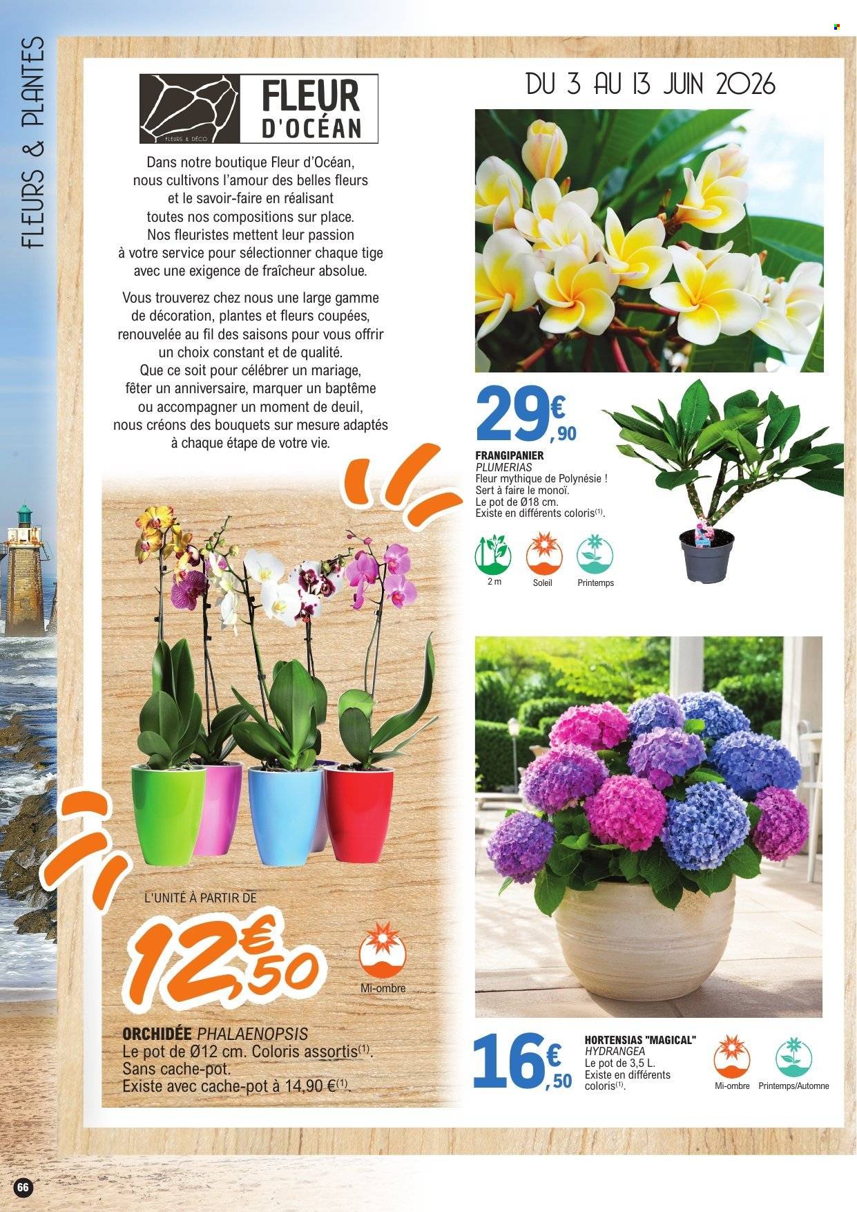 Catalogue E.Leclerc - 02/06/2026 - 13/06/2026. Page 66