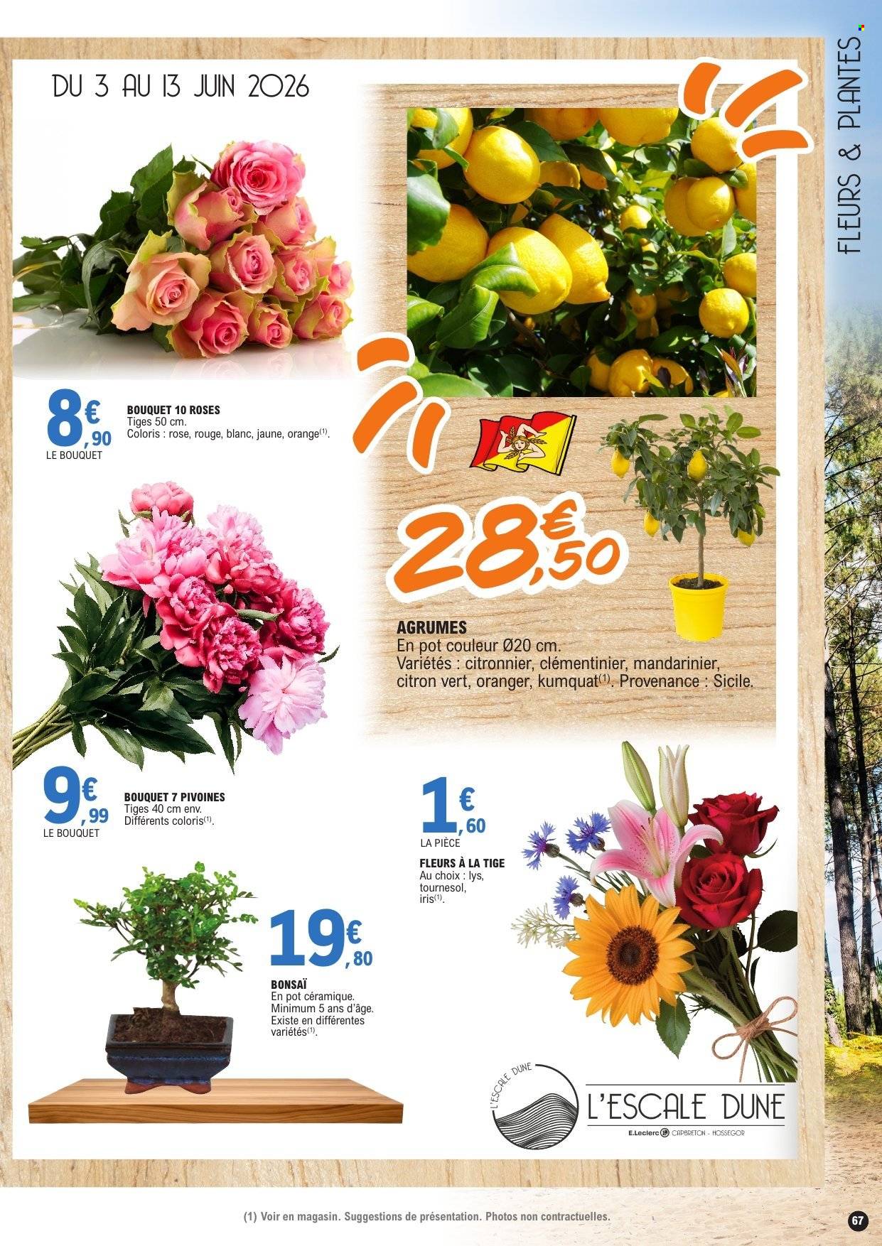 Catalogue E.Leclerc - 02/06/2026 - 13/06/2026. Page 67