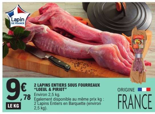 2 LAPINS ENTIERS SOUS FOURREAUX "LOEUL & PIRIOT"