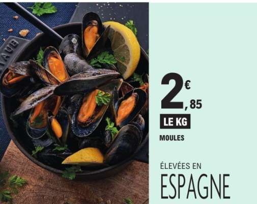 MOULES