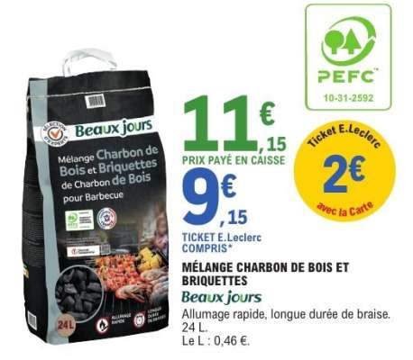 MÉLANGE CHARBON DE BOIS ET BRIQUETTES
