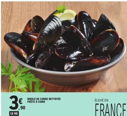Moule de corde nettoyée prête à cuire