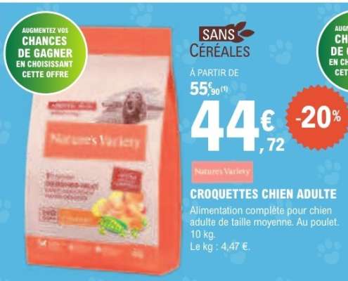 Croquettes chien adulte