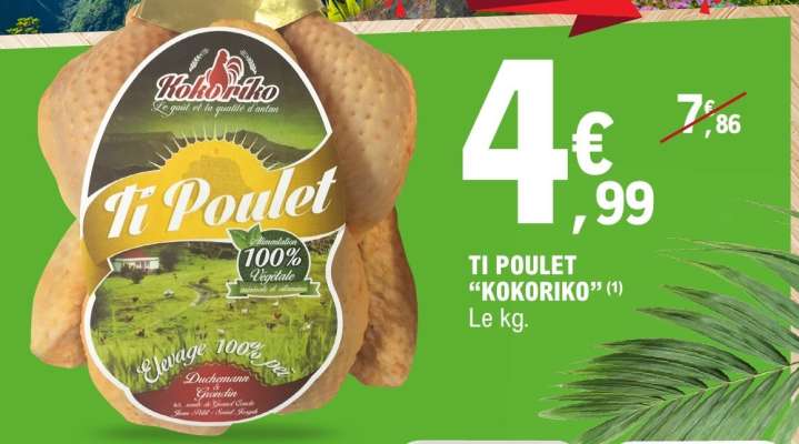 TI POULET "KOKORIKO"