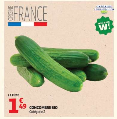 Concombre BIO