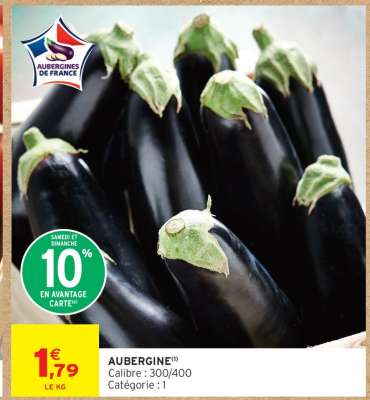 AUBERGINE