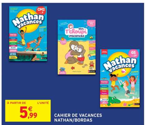 Cahier de Vacances Nathan/Bordas