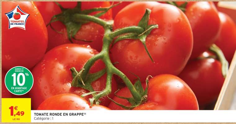 TOMATE RONDE EN GRAPPE